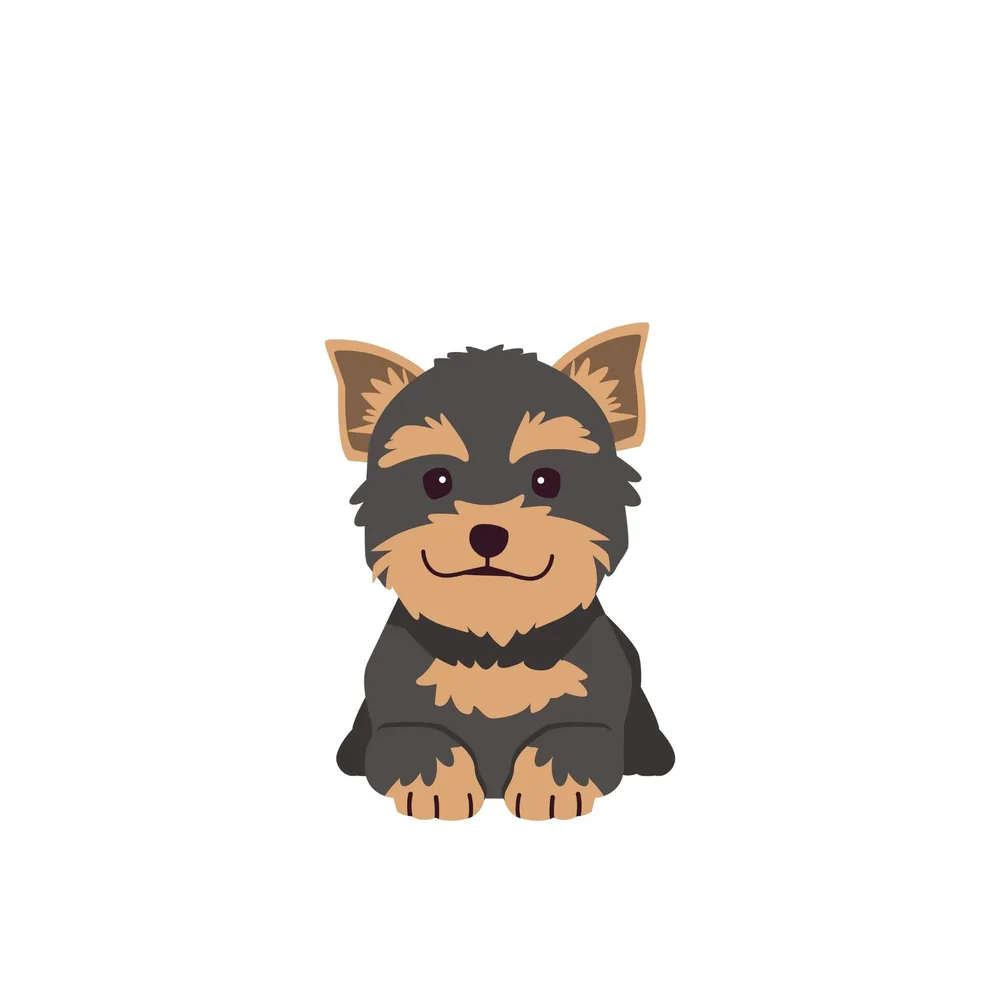 Jax, illustrated character from the Emily & Aiden books